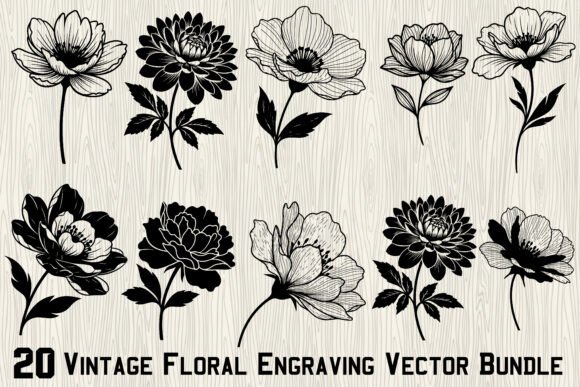 Download 20Vintage Floral Engraving Vector Bundle - Bundle Collection